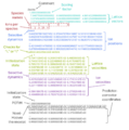 Thumbnail for version as of 10:27, 28 May 2025